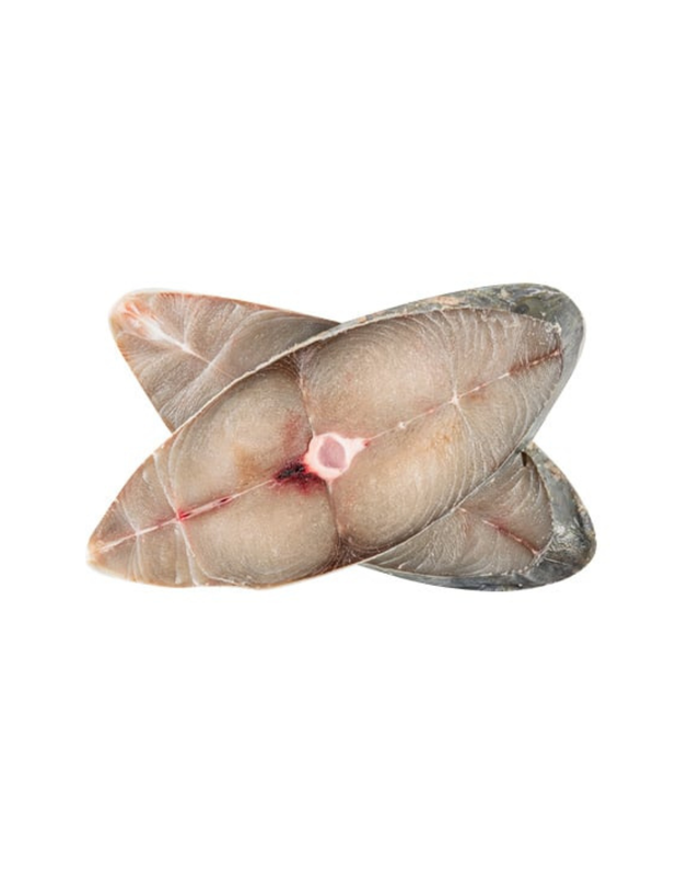 Diseño sin título 2025 11 17T120005 225