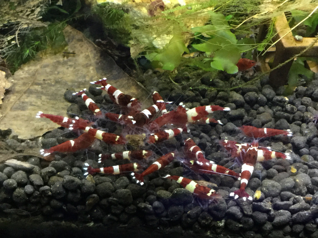 1228E93F-D539-4D5F-B84F-BB3432262AA3