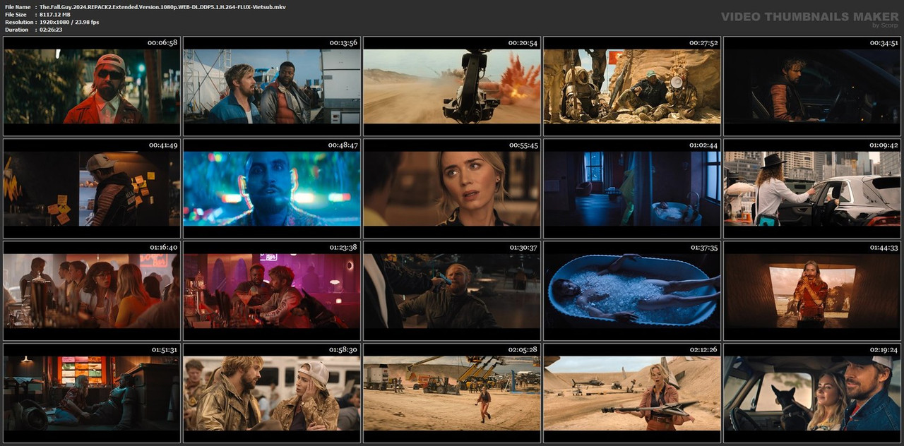 The-Fall-Guy-2024-REPACK2-Extended-Version-1080p-WEB-DL-DDP5-1-H-264-FLUX-Vietsub-mkv.jpg