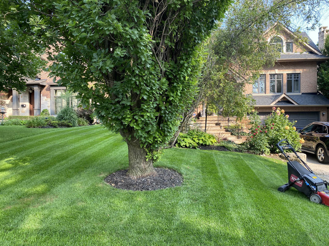 1E0D51A1-BC5D-4981-93A2-003C62DE7B72