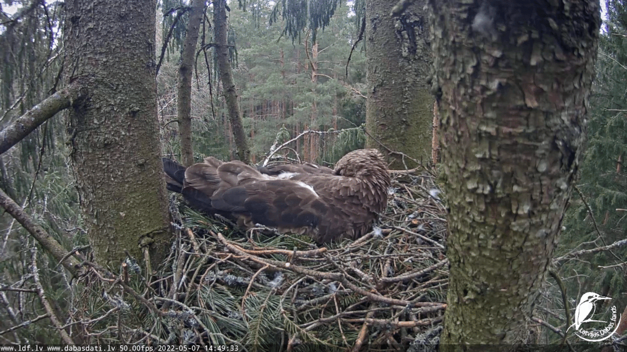 Webp.net-gifmaker (15)