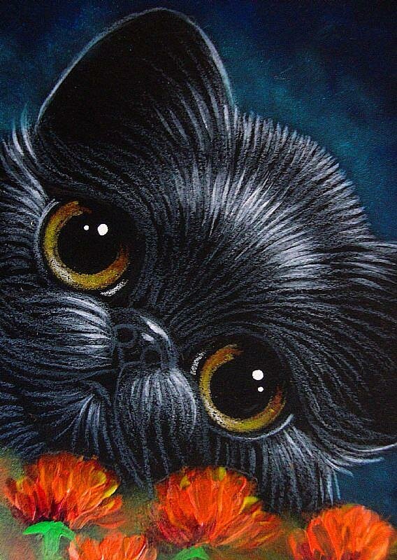 23-BLACK-PERSIAN-KITTEN-CAT-WITH-POPPY-FLOWERSjpg