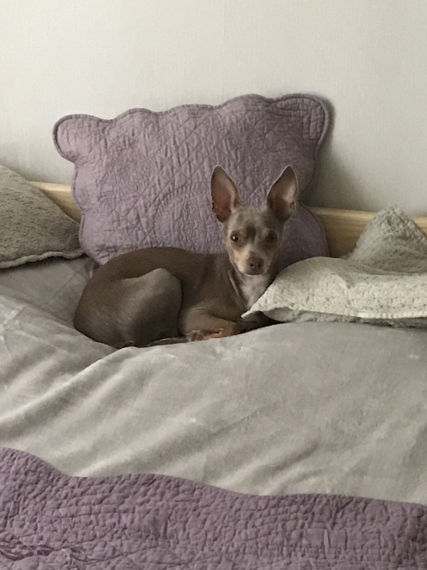 6A3E10FB-5D5C-464B-AAC2-404D76ED69A7