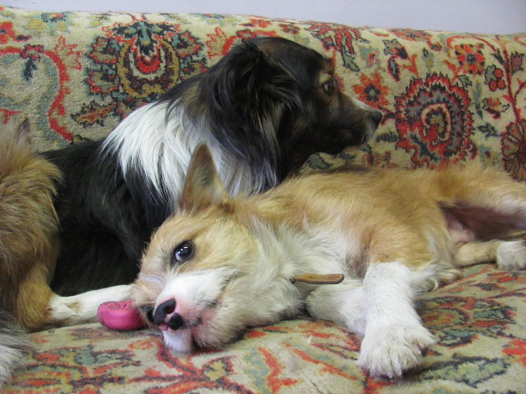 Изображение 031