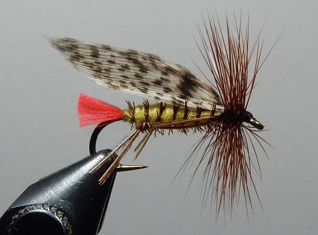 Kapok_Hopper_1080.jpg Kapok_Hopper_1080.jpg