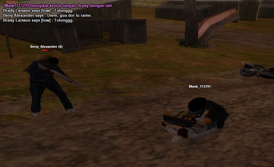 pict-11.png