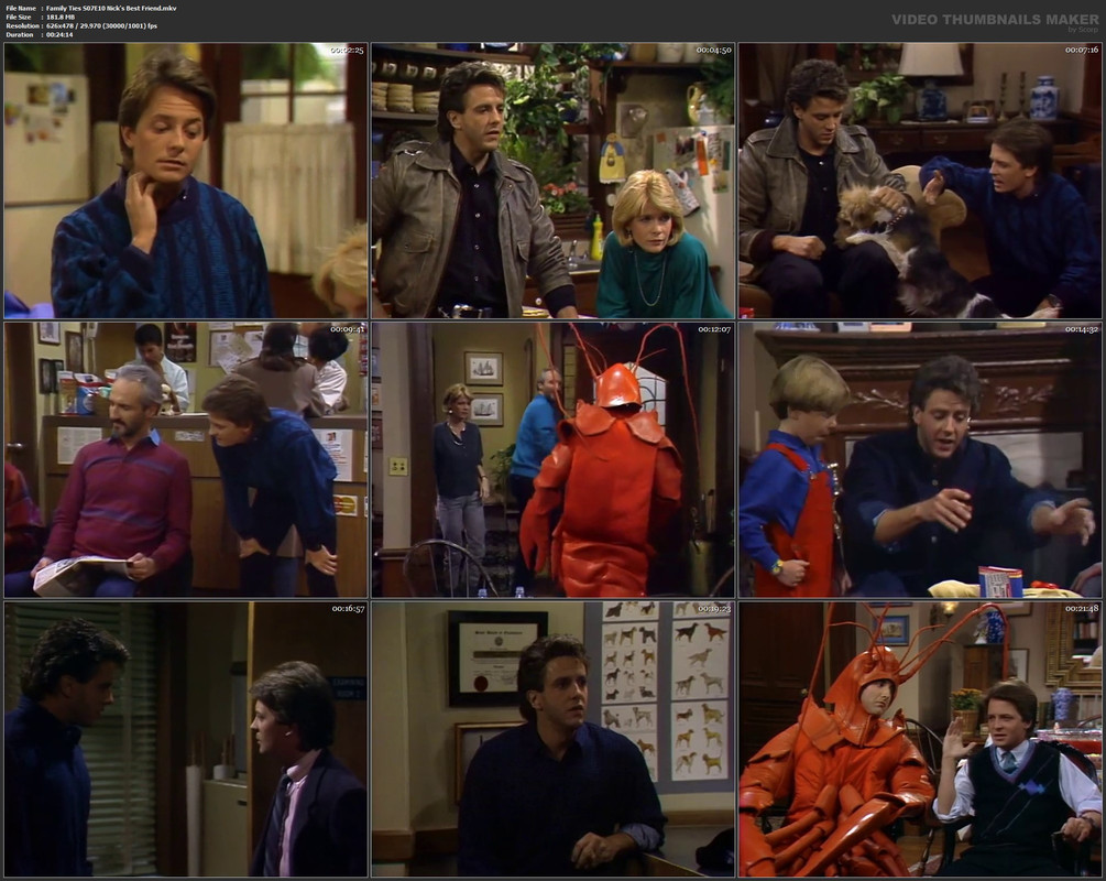 Family Ties S07E10 Nick's Best Friend.mkv