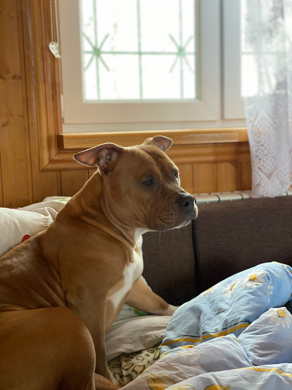 7BF70860-3490-4F80-B6CF-67C47FB8D40A