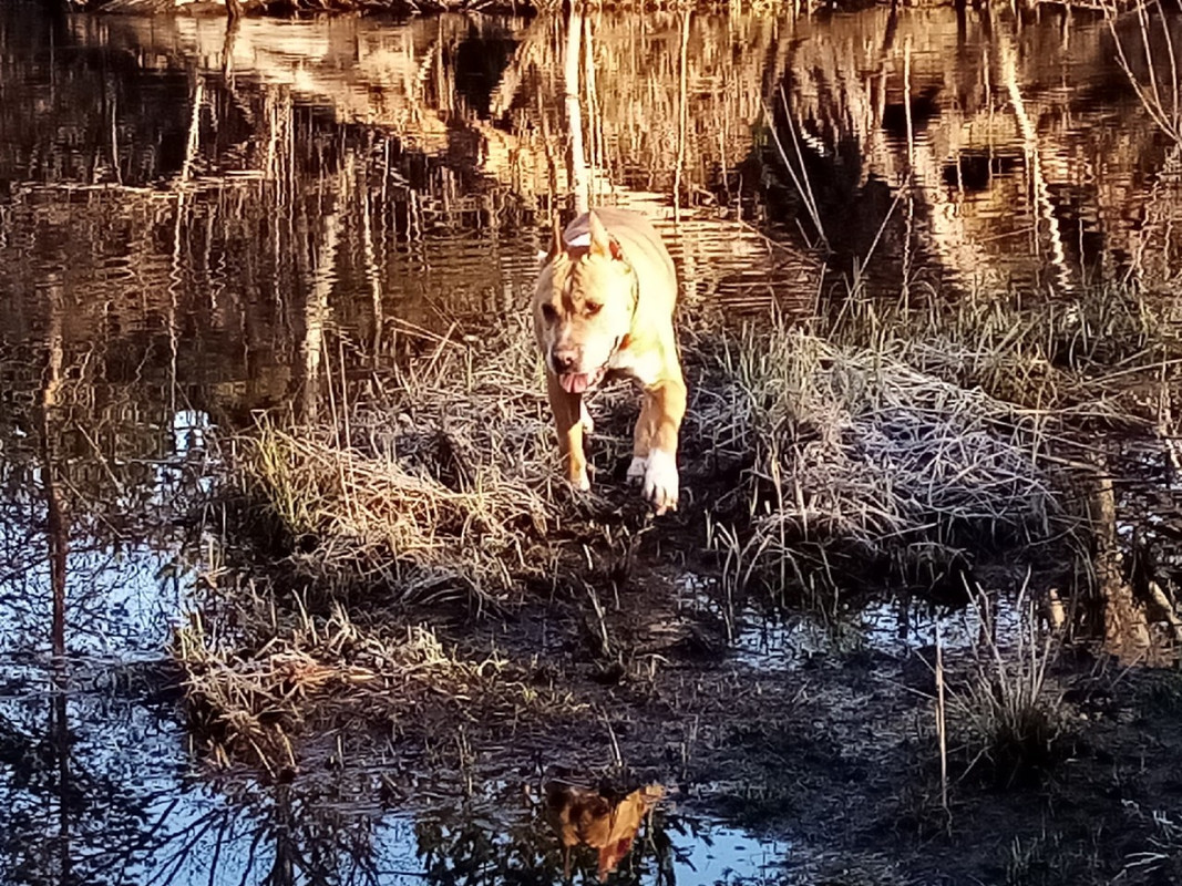 CCD27C48-7ACF-4FC6-AD8E-7919CD06C0BE