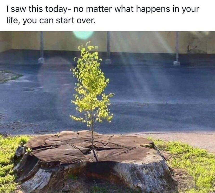 [Image: image.png]