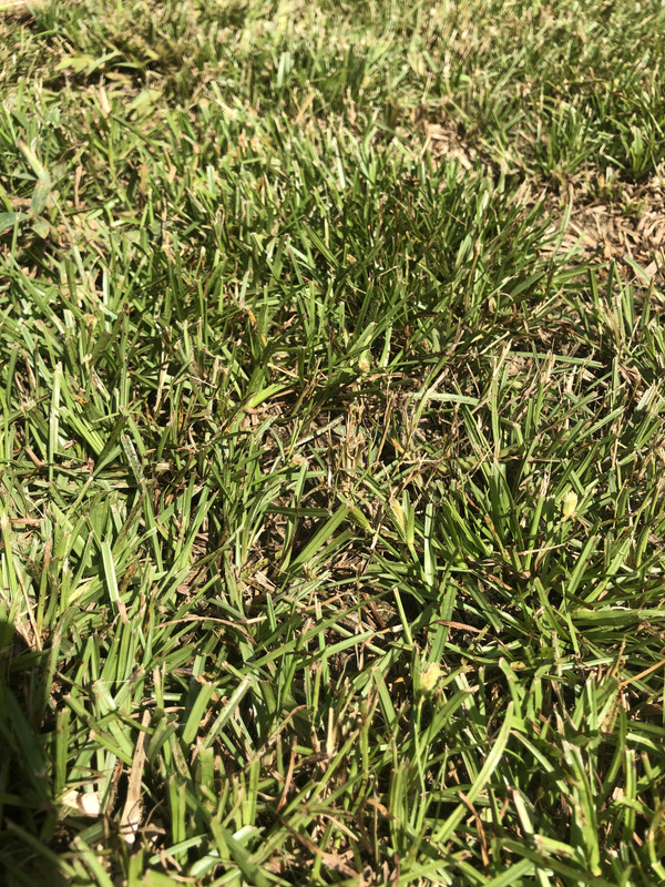 86069064-125E-422B-84AE-7955848D2649