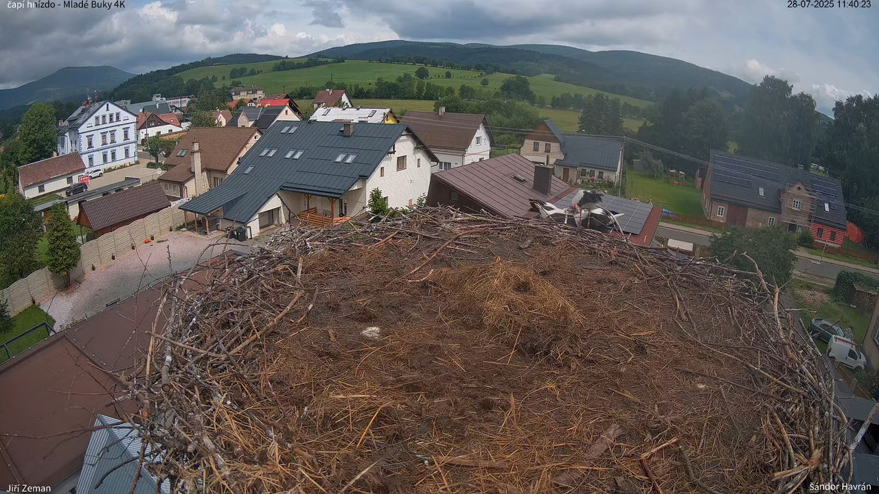Tiešraides kamera — Mladé Buky — stārķa ligzda 4K 13-7-43 screenshot