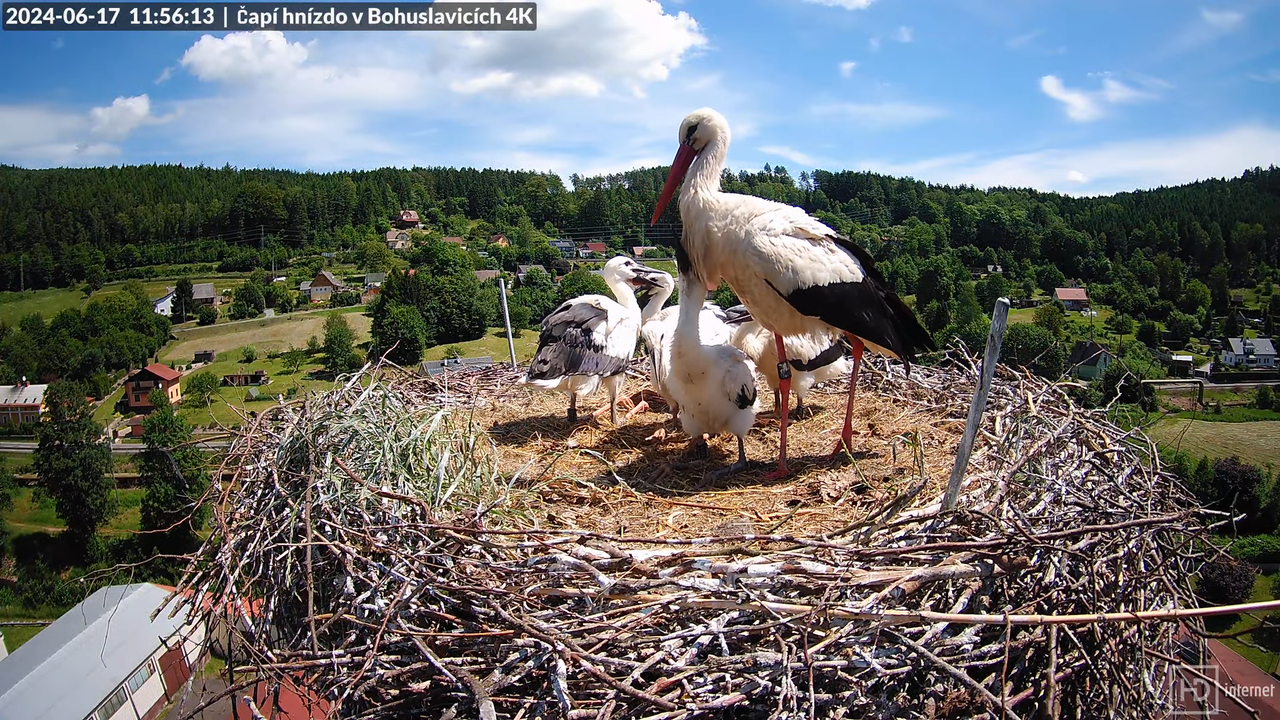 Tiešraidē no uzņēmuma KARA stārķa skursteņa Bohuslavicē pie Trutnovas 12-59-34 screenshot
