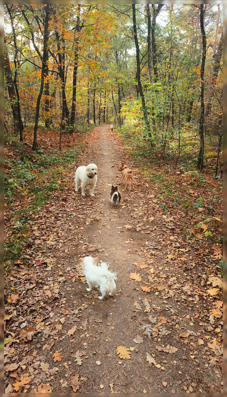 Lumii_20251019_165342859