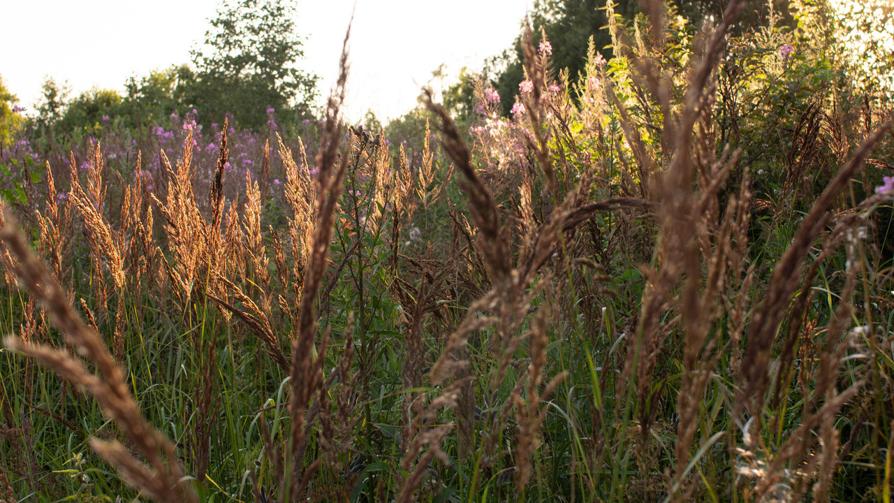 P7200004-Улучшено-Ум. шума