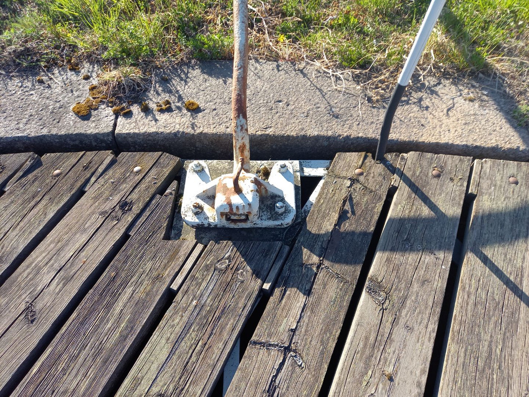 Resized_20220506_175051(1) (1)