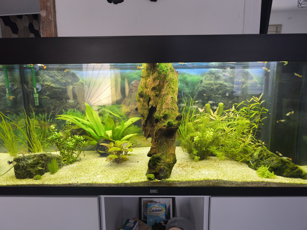 17424009988844781104609665995162