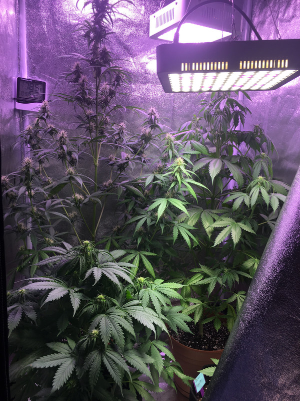 8CABF671-8372-4E0C-B48F-D7BBB880A013