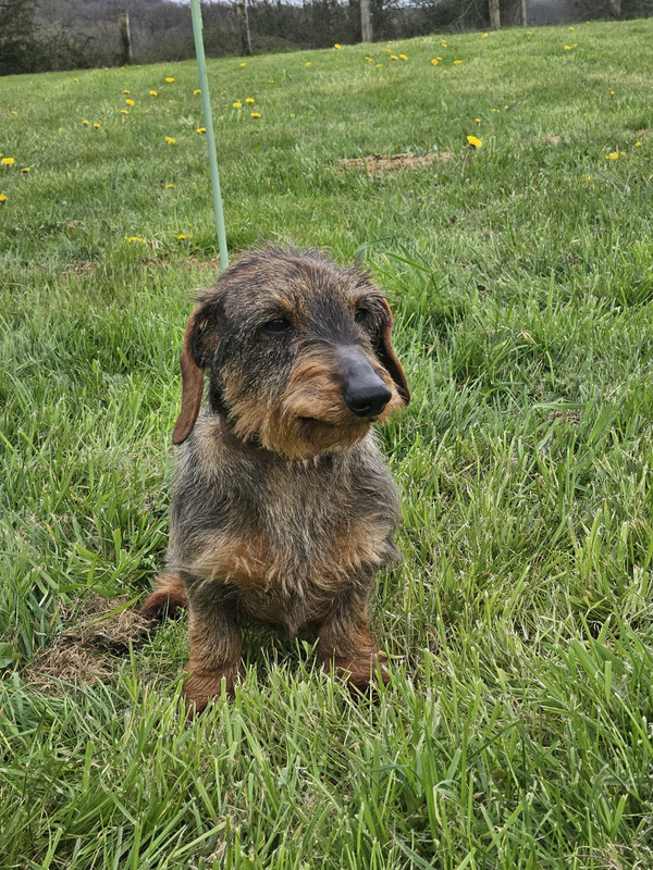 [Image: IMG-20240325-WA0014.jpg]