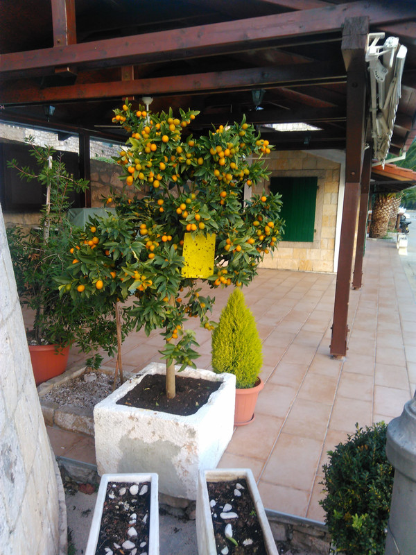 IMG_20161201_160310 (1)