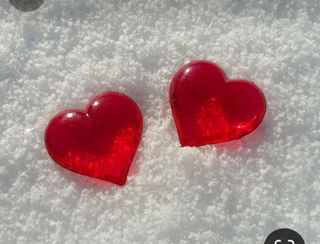 Screenshot_20240213_212443_Pinterest