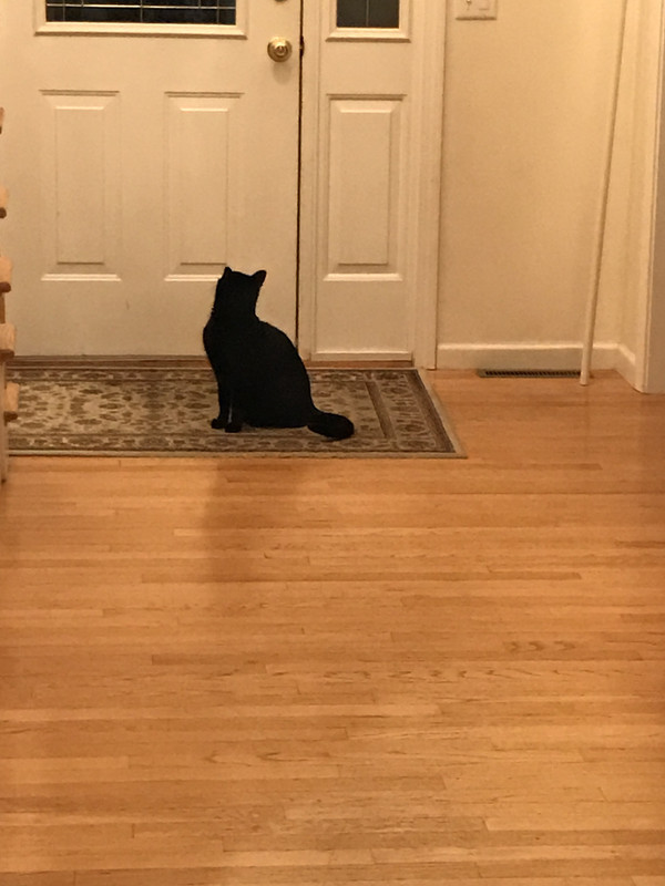 E4CDFA58-E03A-47F4-B009-860EE3724052