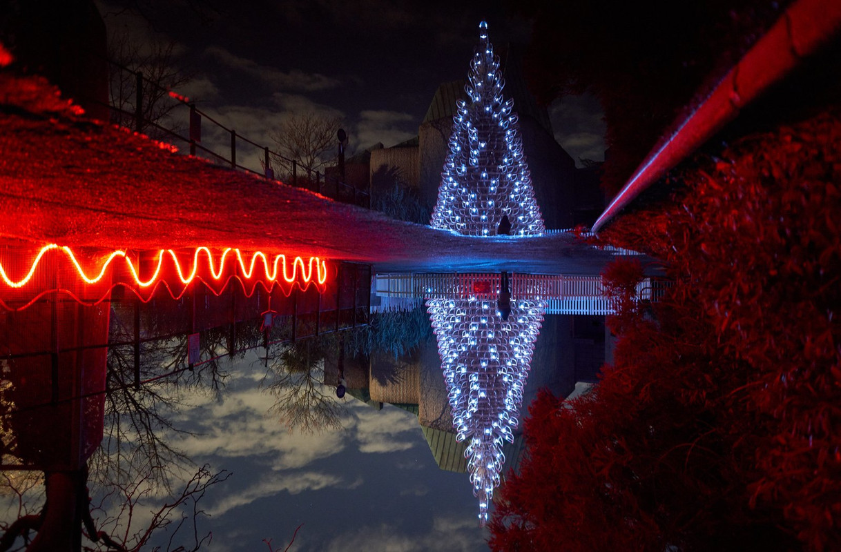 blue-red-xmas-tree.jpg