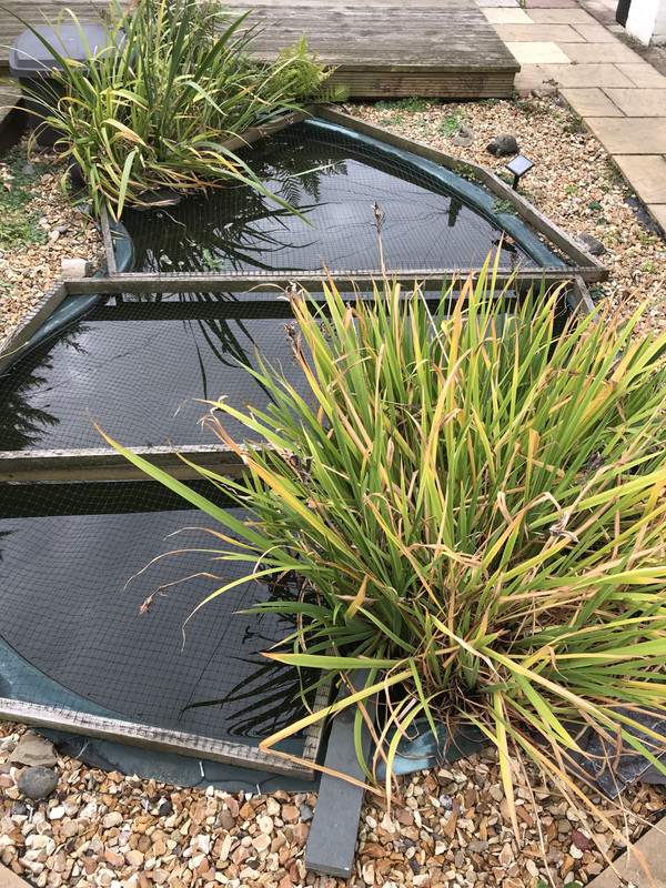 CC036822-F18D-48A7-B287-42D7FD89BD52