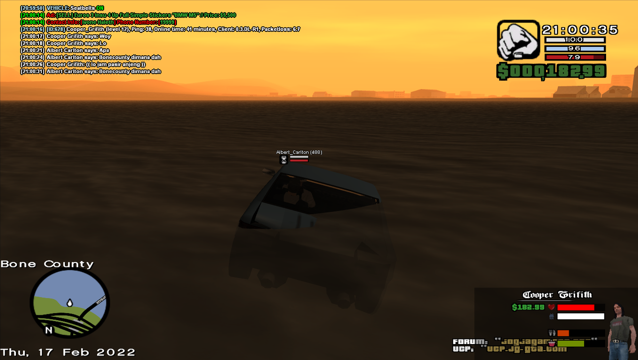 samp-17-02-2022-21-00-35.png