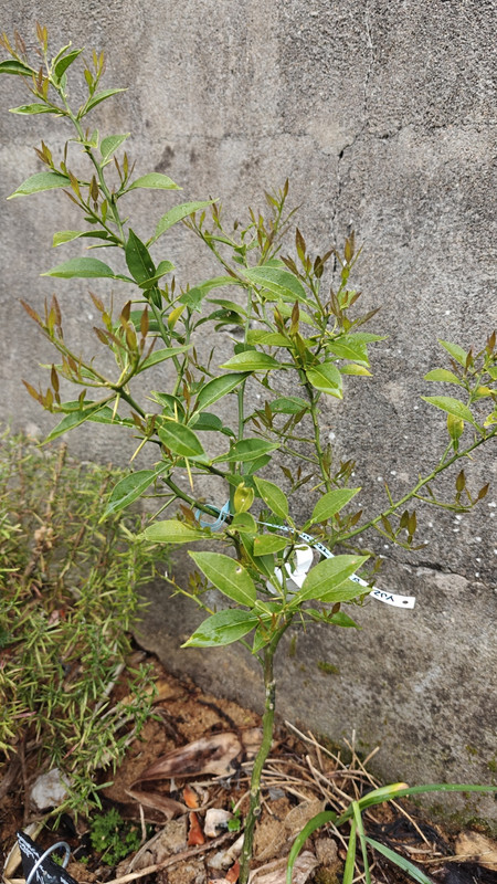 IMG20250424173646