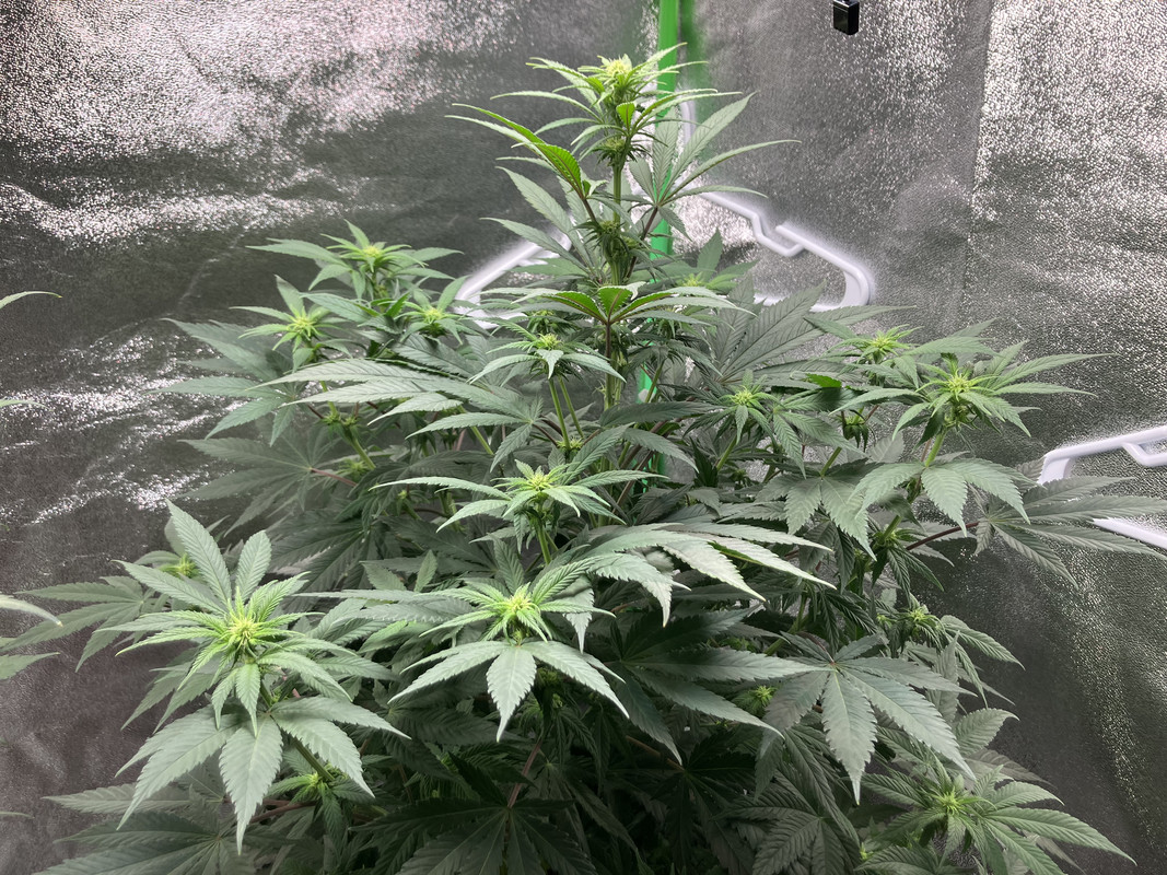 EEE4AAEC-48B4-4822-BFA3-D1FBA47409AC