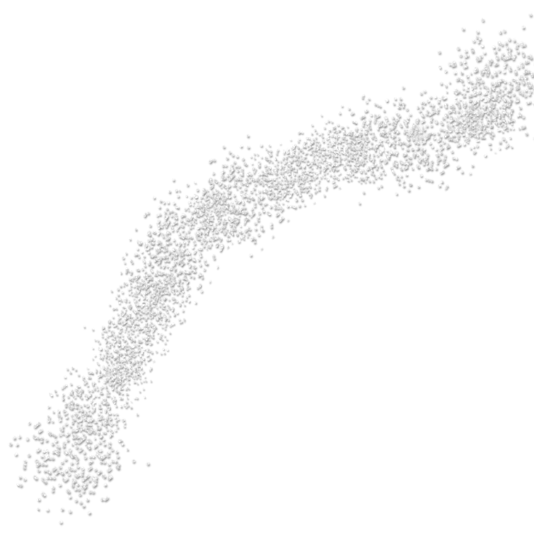 Christmasswishoffairydngliterss