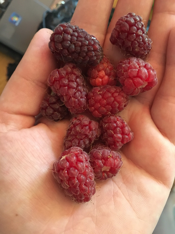 500D298C-6FFC-40A2-9DAC-9C0D0CB82303