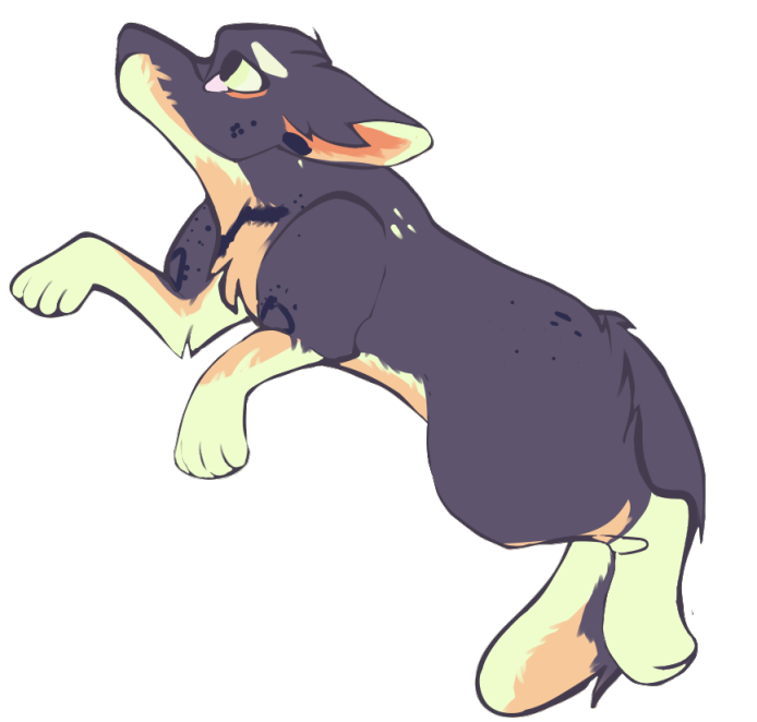 37125040_0e8FW64Brhm3MpX