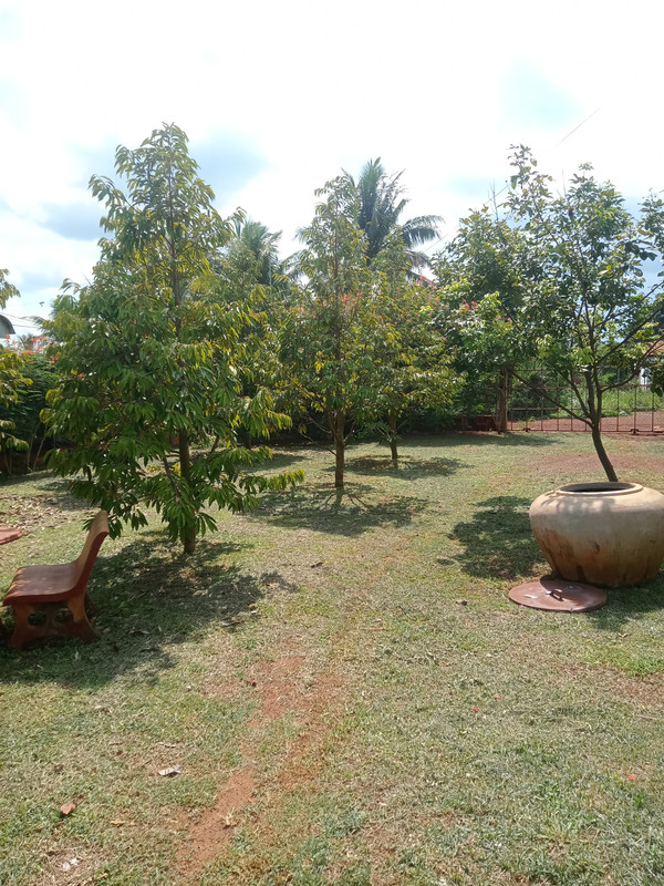 IMG20260612140341