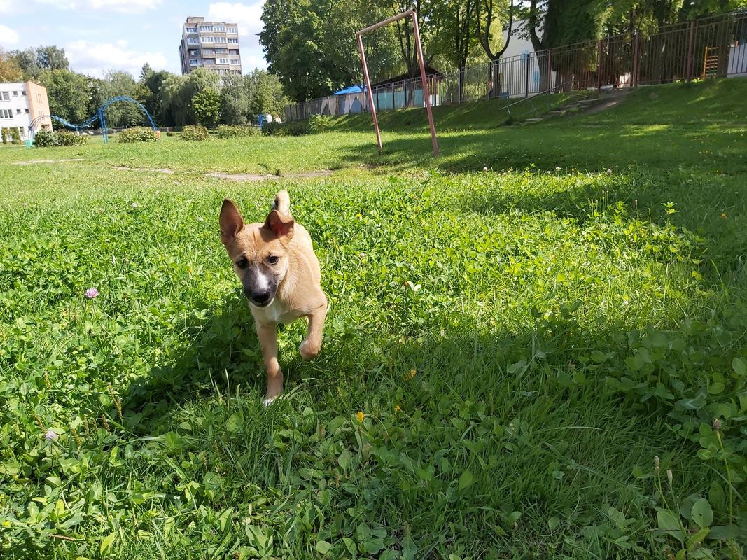 20190817_141950_012_saved