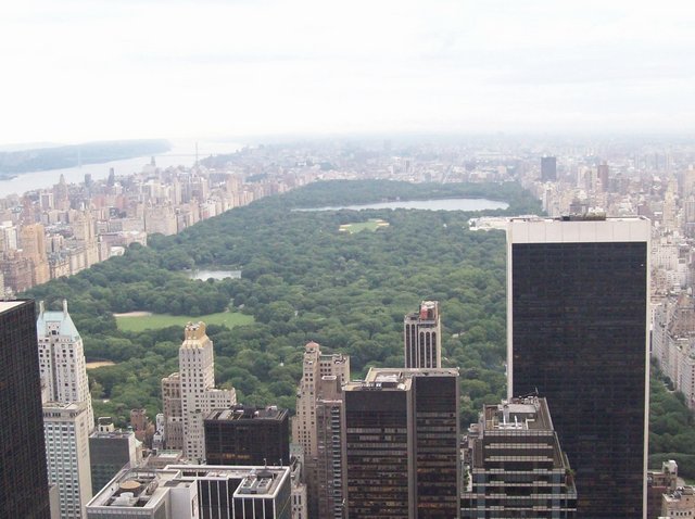 Nueva York y Cataratas del Niágara 2023 - Blogs de America Norte - Rockefeller, Top of the Rock, desfile y sorpresa en Times Square (11)