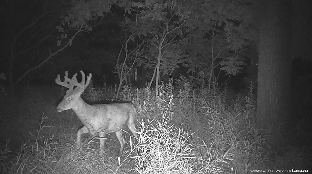 DB61F318-737A-402F-B34D-D02A07500FDB