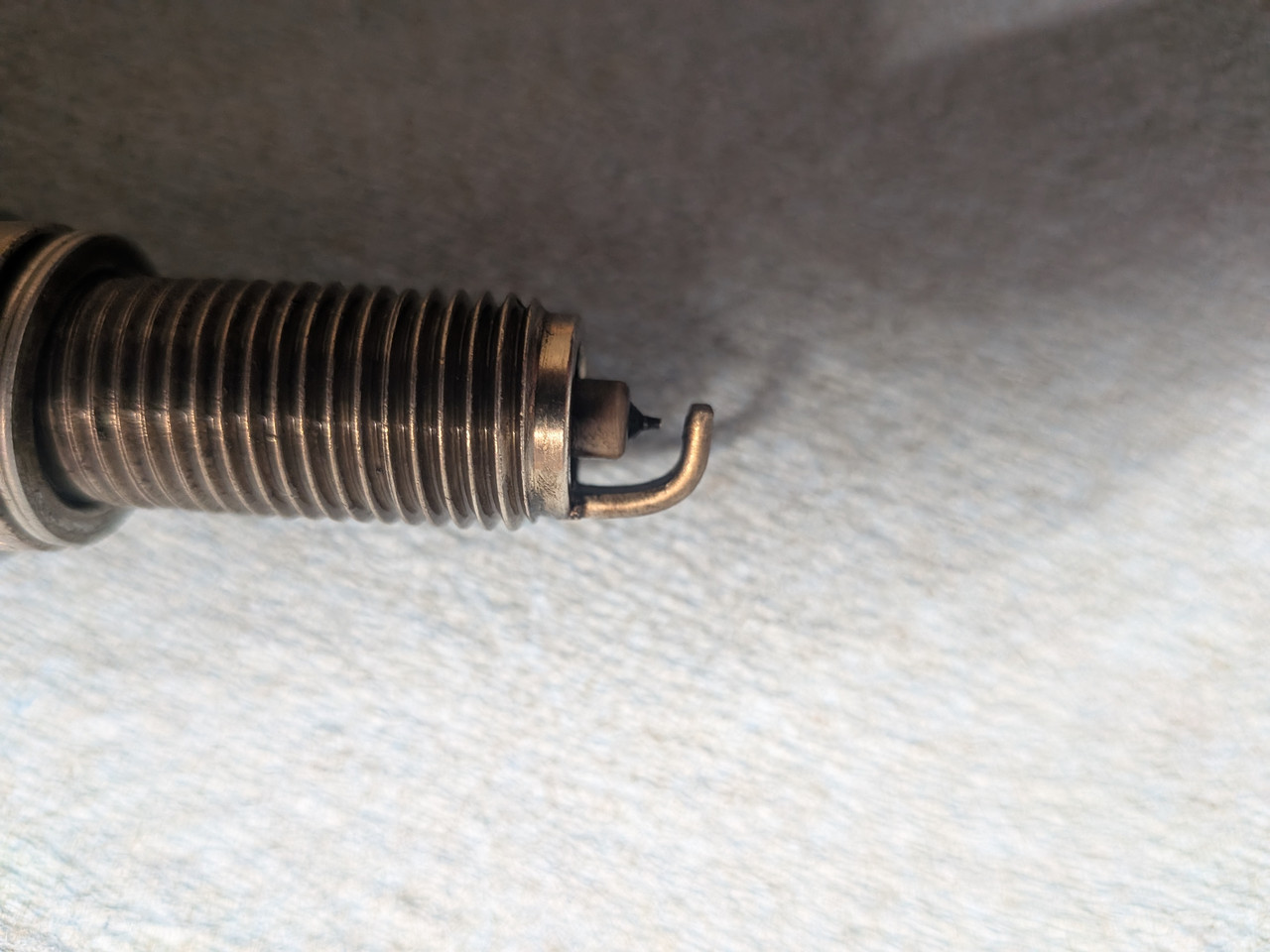 PXL 20251208 212204024 MACRO FOCUS MP