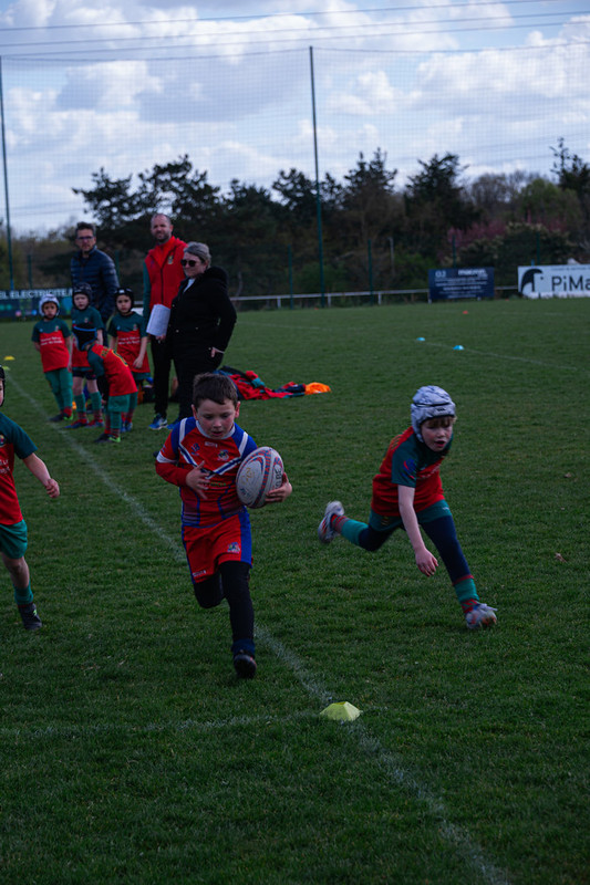 tournoi-de-latlantique-2026-adonis-griffon-74-55181693545-l