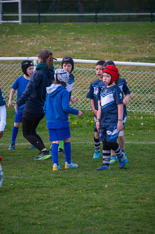 tournoi-de-latlantique-2026-adonis-griffon-91-55181457163-l