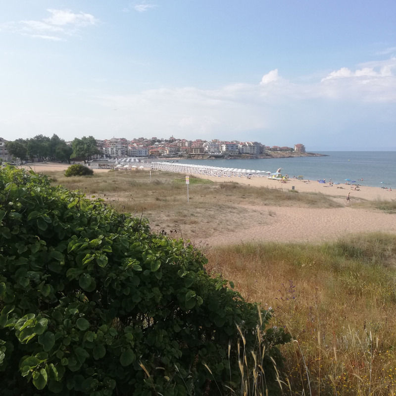 [Obrazek: IMG-20230621-171202.jpg]