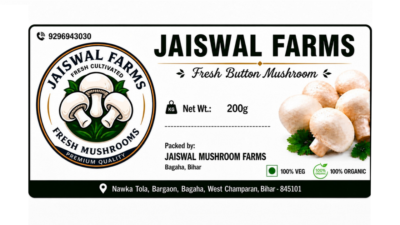 Mushrooms in farm