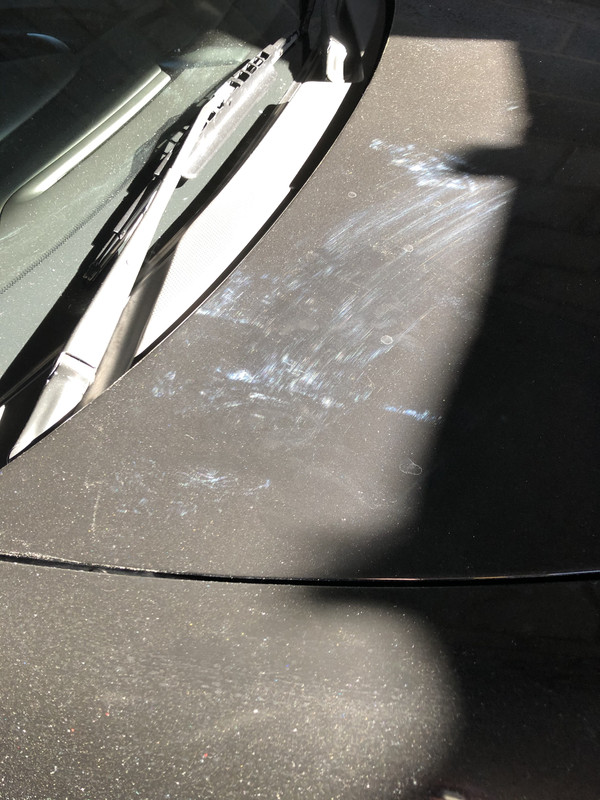 431A3806-21D1-41CB-B060-3405679C520C