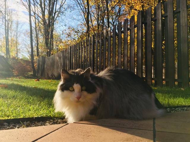 8-EB46-B93-CD8-E-45-F5-A909-9609-A2378-A