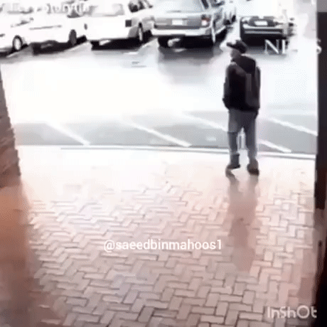 https://i.postimg.cc/d16qGkvK/1.gif