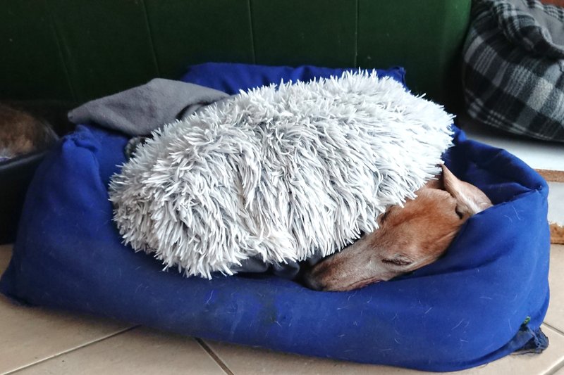 [Image: DSC-3602.jpg]