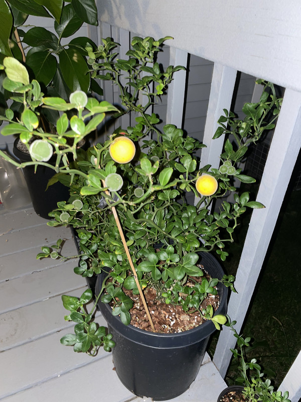 B0DFCC08-9244-4E31-AFD7-027A30B3758E