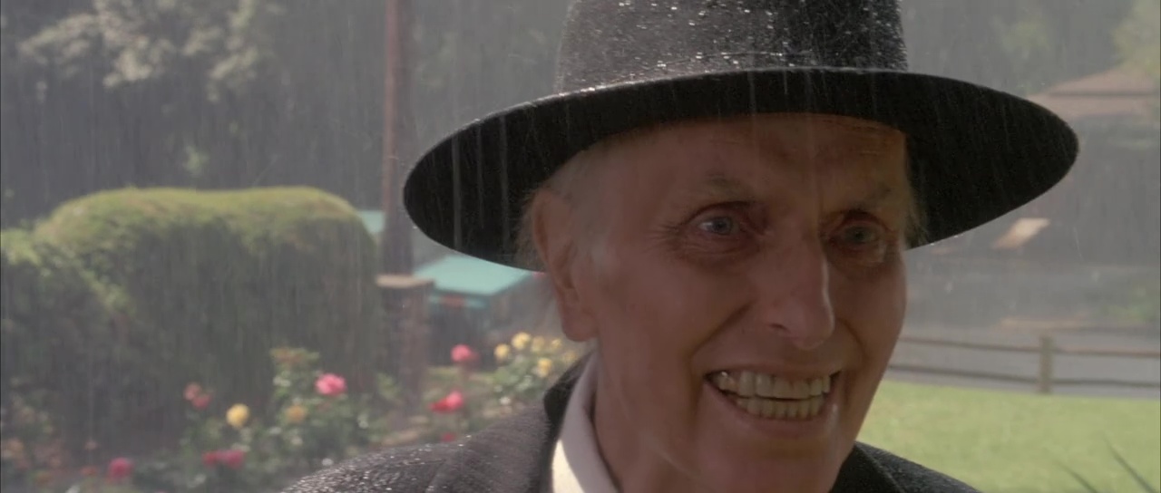 vlcsnap 2026 03 19 14h02m50s094