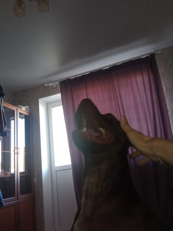 496917FA-0521-47E6-8C3A-777D70AEE3F3